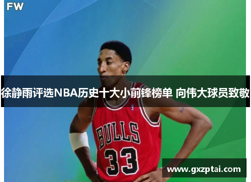 徐静雨评选NBA历史十大小前锋榜单 向伟大球员致敬